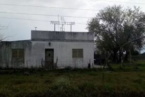 El &Aacute;rbol La Luna y T&uacute;