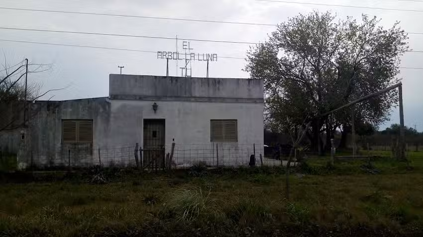 El &Aacute;rbol La Luna y T&uacute;