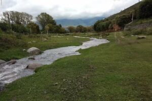 El bar de Jos&eacute;