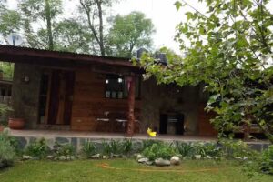 El Castillo Del Bosque