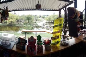 El Chiringuito de Marina