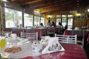 El Cortijo Patag&oacute;nico