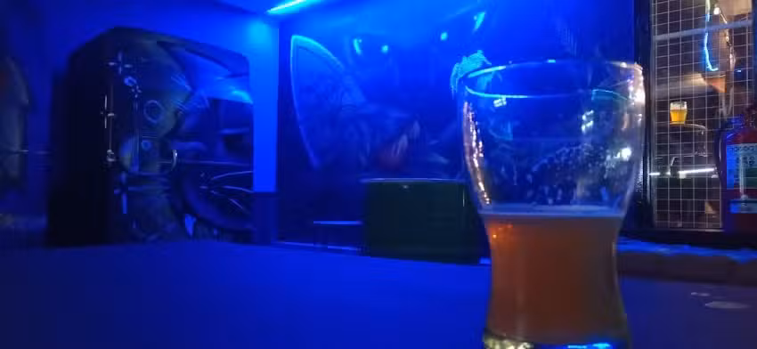 El gato negro y su pandilla / Beer Lecker