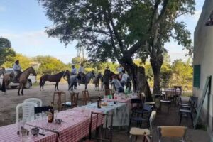 El Palenque Almacén y Bar