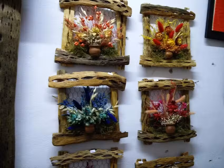 El Tasco cerveceria helader&iacute;a de JAM .Josefina Minichelli