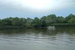 Embarcadero Isla Paulino