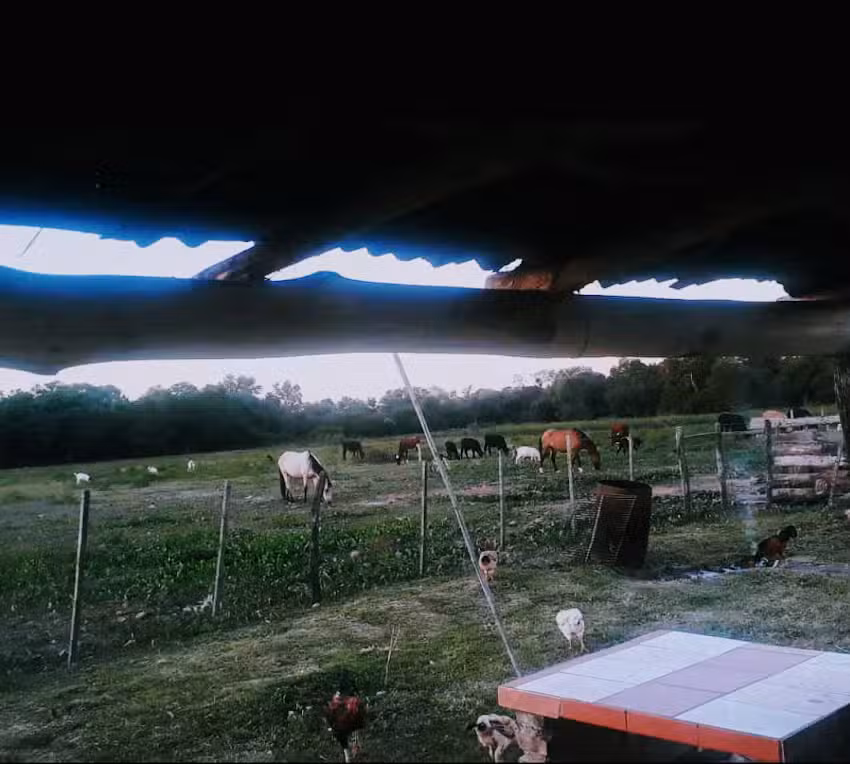 Estancia El Ex Combatiente Justo Silverio Falc&oacute;n