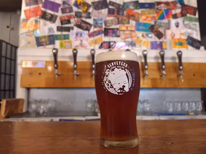 Hakuna Matata &ndash; Cerveteca