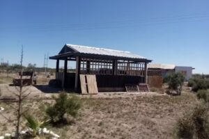 H&iacute;pico Boggero