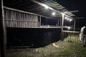 Jonafest (JonaBerdun)