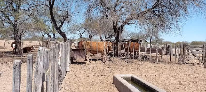 Kiosco &ldquo;ARNOVIO&rdquo;