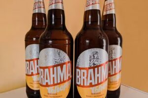 Kiosco El bebedero 24 hs