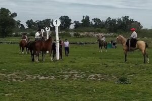 La casa de los ganzos