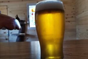 La Oxidada Cerveza artesanal