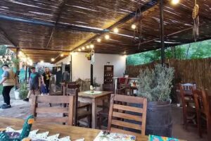 Las Mandarinas “Bar de Montaña”