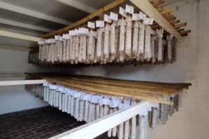 Las Mar&iacute;as chacinados