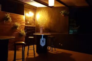 Lo de Pedro Bar & Delivery