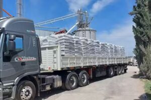 Maltear, Malteria Argentina