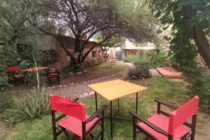 Martinez Cerveza Artesanal