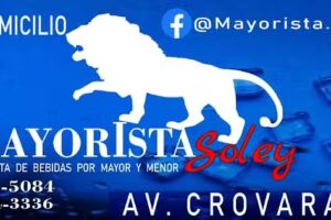 Mayorista Soley