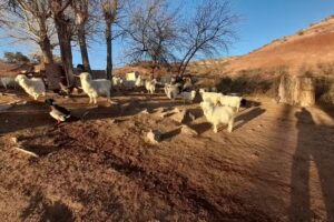 Meseta de la Barda Negra