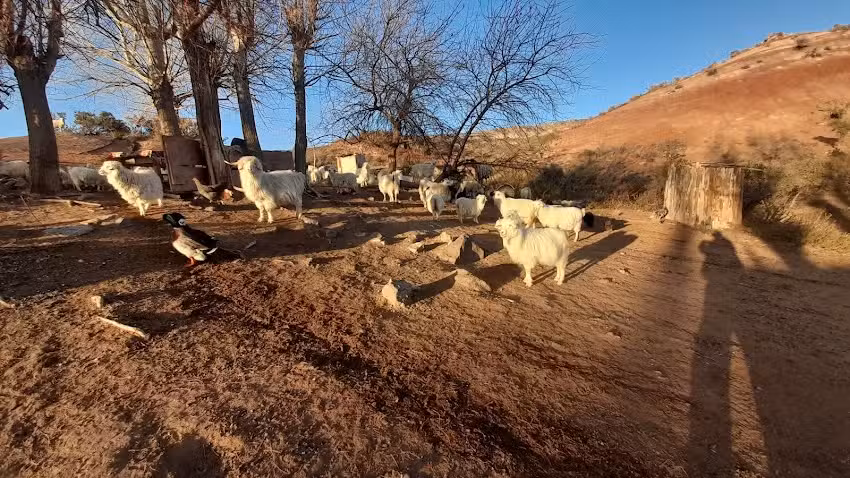 Meseta de la Barda Negra