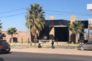 Microcervecer&iacute;a artesanal