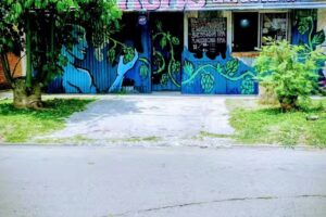 Momo cerveza artesanal