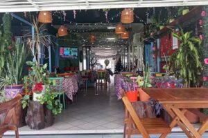 Nicolino Coffee Bar & Drinks