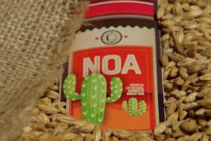 NOA Cerveza Artesanal