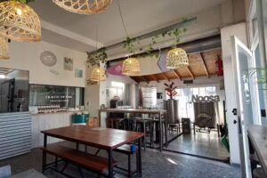 Noosa Cerveza Artesanal