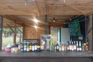 PARA&Iacute;SO NAVARRENSE