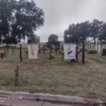 Patio Cervecero La Lechuza