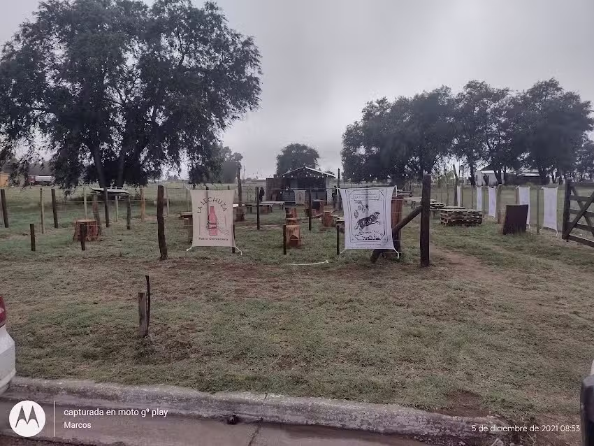 Patio Cervecero La Lechuza