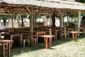 patio205 Cerveza Artesanal