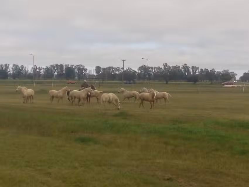 Pe&ntilde;a del IAS Peregrinaci&oacute;n Maria Auxiliadora