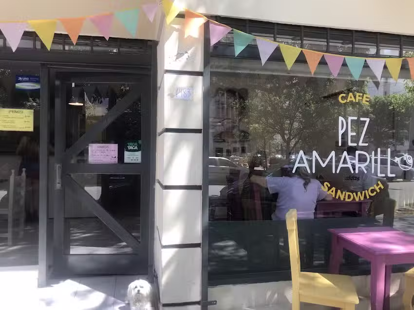 PEZ AMARILLO ~ Caf&eacute; & Sandwich