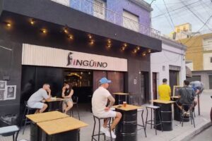 Ping&uuml;ino Bar
