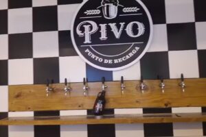 Pivo