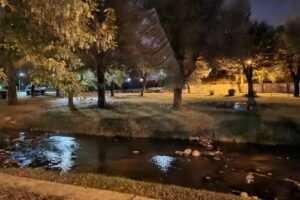 Pizzas a la parrilla