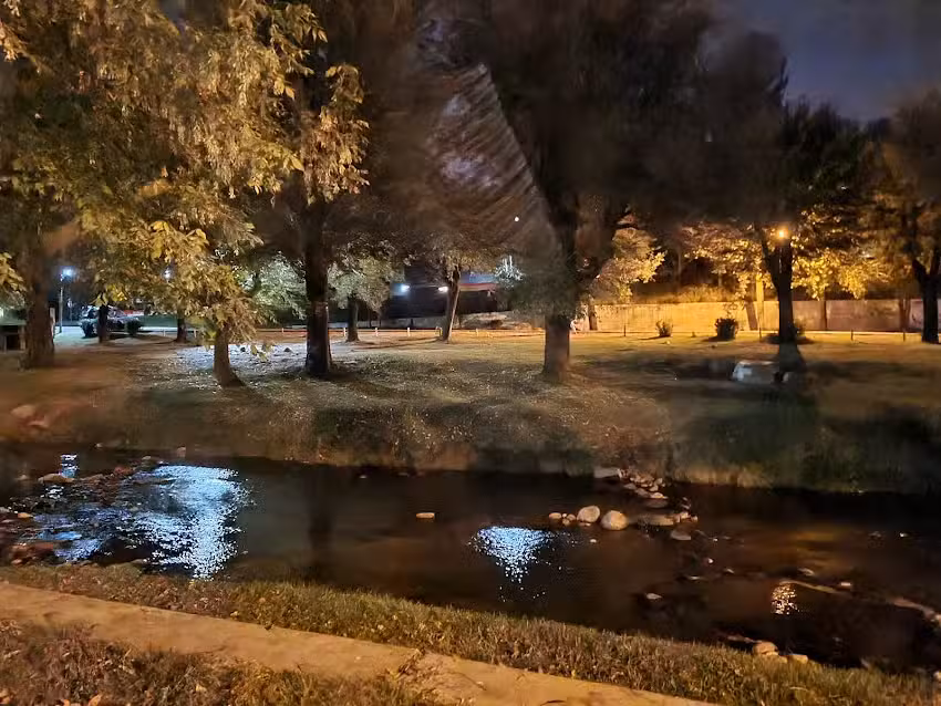 Pizzas a la parrilla