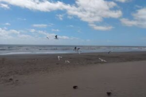 Playa Mar del Tuy&uacute;