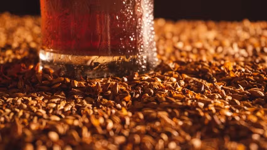 Punto de Encuentro Birra del Fuego