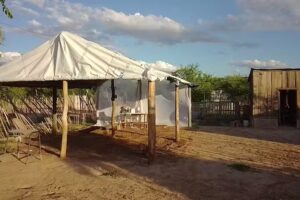 Quincho la Yegua Negra