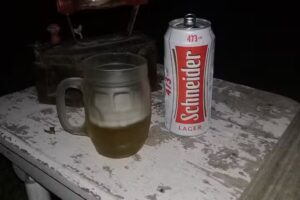 Rodr&iacute;guez nora