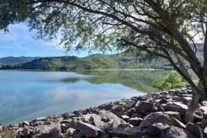 Sabor a campo alegre