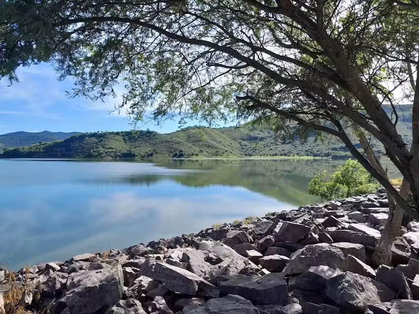 Sabor a campo alegre