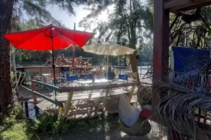 Sabor Isle&ntilde;o / Despebar Camping / TynyHouse