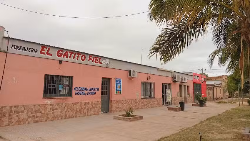 San Pedro de guasayan