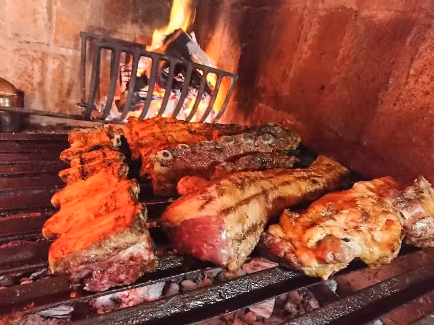 Santa Ines Araucaria Country Sheep